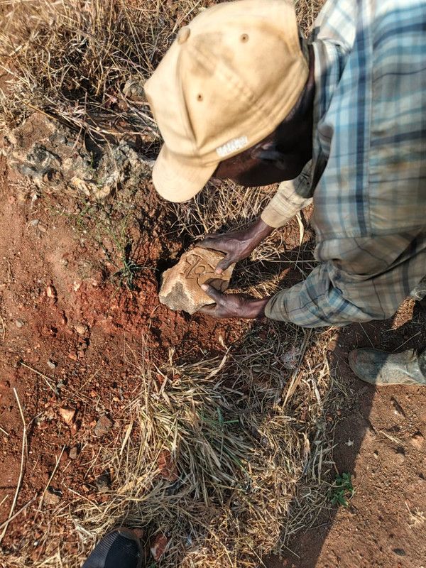 Field inspection at Kilindi, Tanga Region